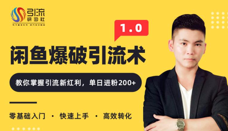 闲鱼爆品引流技术1.0，掌握引流新红利，单日进粉200+（价值1500元）插图