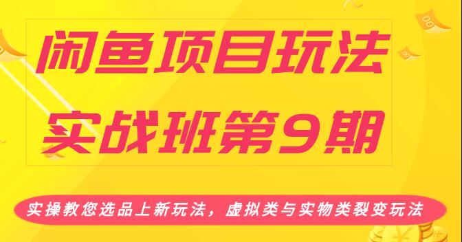 闲鱼项目玩法实战班（一）实操教您选品上新玩法，虚拟类与实物类裂变玩法(2小时无水印)插图