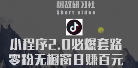 树敌研习社6月抖音赚钱课程：抖音小程序2.0必爆套路零粉无橱窗日赚百元玩法插图