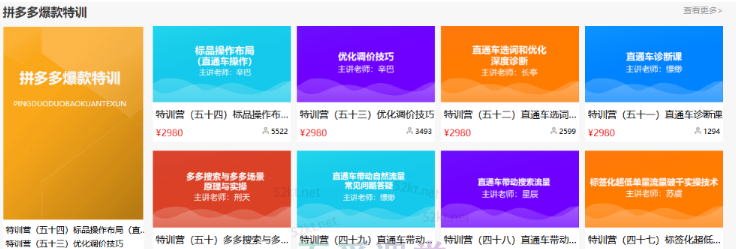 多多大师VIP拼多多运营培训课程价值2980元插图 多多大师VIP拼多多运营培训课程价值2980元插图