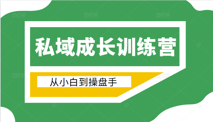 电商私域成长训练营，从小白到操盘手（价值999元）插图