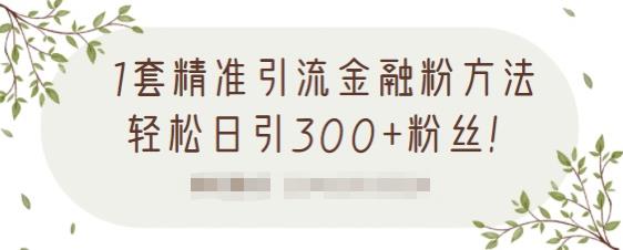 1套精准引流金融粉方法,轻松日引300+粉丝插图 1套精准引流金融粉方法,轻松日引300+粉丝【视频课程】