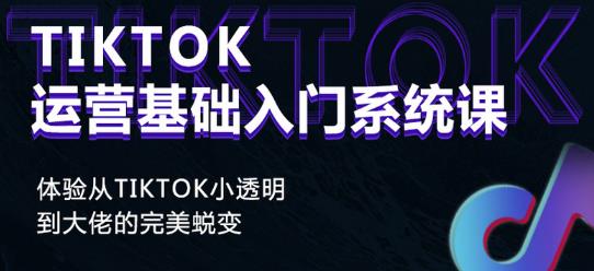 Tiktok实操进阶课程,体验从tiktok小透明到大佬的完美蜕变插图 Tiktok实操进阶课程,体验从tiktok小透明到大佬的完美蜕变